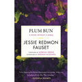 Plum Bun: A Novel Without a Moral