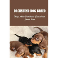 Dachshund Dog Breed: Things About Dachshunds Every Owner Should Know: Can You Breed A Mini Dachshund With A Standard