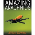 Amazing Arachnids