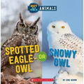 Spotted Eagle-Owl or Snowy Owl (Wild World: Hot and Cold Animals)