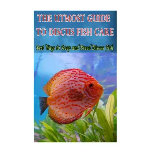 The Utmost Guide to Discus Fish Care: Best Ways to Keep and Breed Discus Fish
