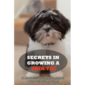 Secrets In Growing A Shih Tzu: Caring, Feeding And Training Your Shih Tzu At Home: Tips For Shih Tzu Owners
