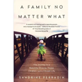 A Family No Matter What: The Journey to a Beautiful Divorce, Happy Children, and a Vibrant Life