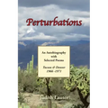 Perturbations