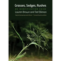 Grasses, Sedges, Rushes: An Identification Guide