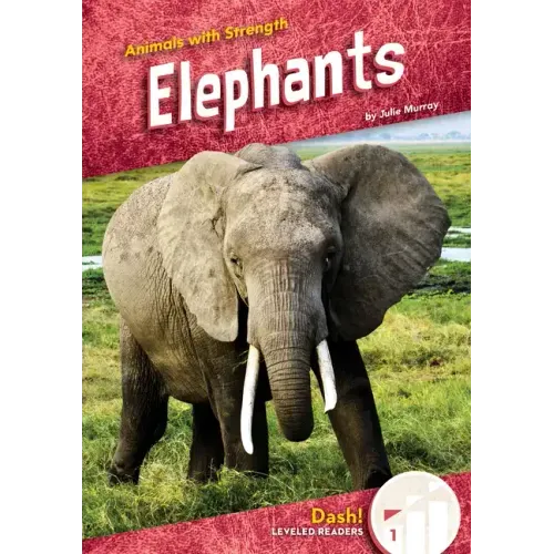 Elephants
