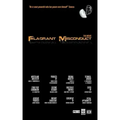Flagrant Misconduct