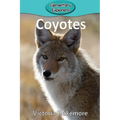 Coyotes