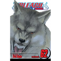 Bleach, Vol. 62