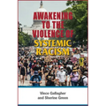 Awakening to the Violence of Systemic Racism