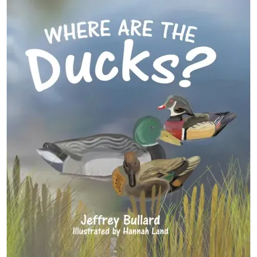 Where Are the Ducks?
