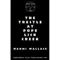 The Trestle At Pope Lick Creek