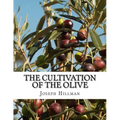 The Cultivation of the Olive: A Short Treatise With Special Reference to Fertilization