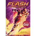 The Flash: The Tornado Twins