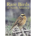 Rare Birds of North America