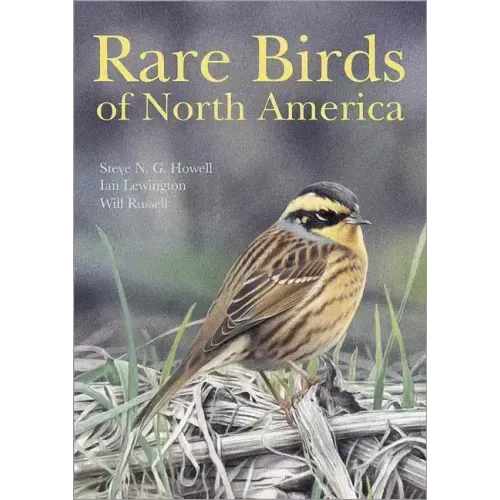 Rare Birds of North America