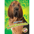 Bloodhounds
