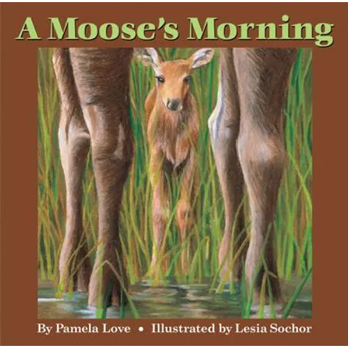 A Moose's Morning