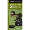 Cornell Lab of Ornithology Waterfowl Id Series: 2 Dabbling & Diving Ducks: Cornell Lab of Ornithology Bird Id Series
