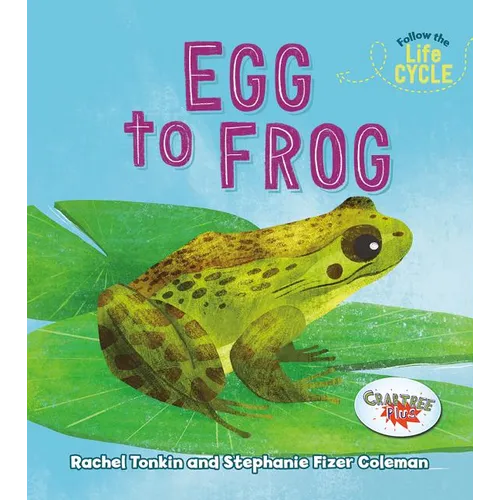 Egg to Frog