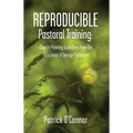 Reproducible Pastoral Training: Church Planting Guidelines from the Teachings of George Patterson