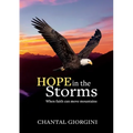 Hope in the Storms: When faith can move mountains