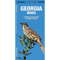 Georgia Birds: An Introduction to Familiar Species