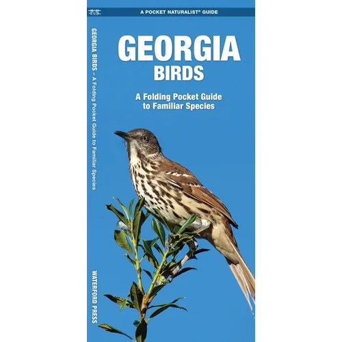 Georgia Birds: An Introduction to Familiar Species