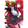 High School DXD, Vol. 12 (Light Novel): Volume 12