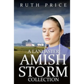 A Lancaster Amish Storm Collection