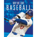 Why We Love Baseball