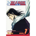 Bleach, Vol. 7