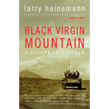 Black Virgin Mountain: A Return to Vietnam