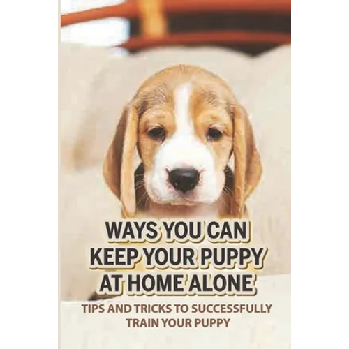 Ways You Can Keep Your Puppy At Home Alone: Tips And Tricks To Successfully Train Your Puppy: How To Keep A Dog Happy When Home Alone