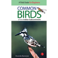 Common Birds of the Indian Subcontinent