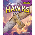 Soaring Hawks