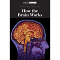 How the Brain Works