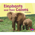 Elephants and Their Calves
