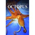 Octopus - Curious Kids Press: Kids book about animals and wildlife, Children's books 4-6