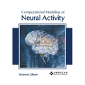 Computational Modeling of Neural Activity