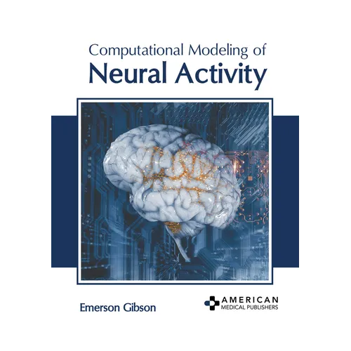 Computational Modeling of Neural Activity
