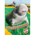 Manatees