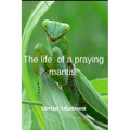 Тhe life of a praying mantis