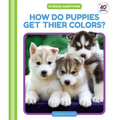 How Do Puppies Get Their Colors?