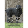 Curly Coated Retriever: Everything That You Need to Know About Curly Coated Retriever: How Well You Know ABout Curly Coated Retriever?