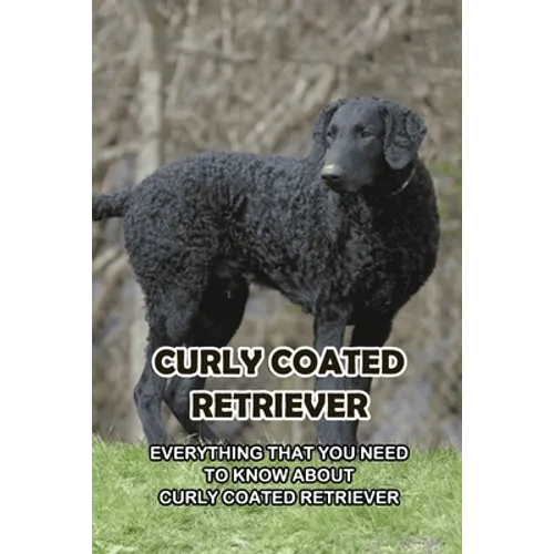 Curly Coated Retriever: Everything That You Need to Know About Curly Coated Retriever: How Well You Know ABout Curly Coated Retriever?