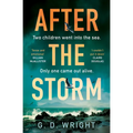 After the Storm