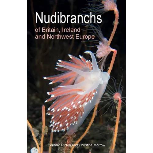 Nudibranchs of Britain, Ireland and Northwest Europe: Second Edition