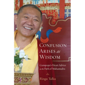 Confusion Arises as Wisdom: Gampopa's Heart Advice on the Path of Mahamudra