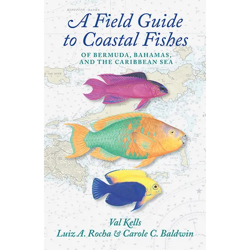 A Field Guide to Coastal Fishes of Bermuda, Bahamas, and the Caribbean Sea
